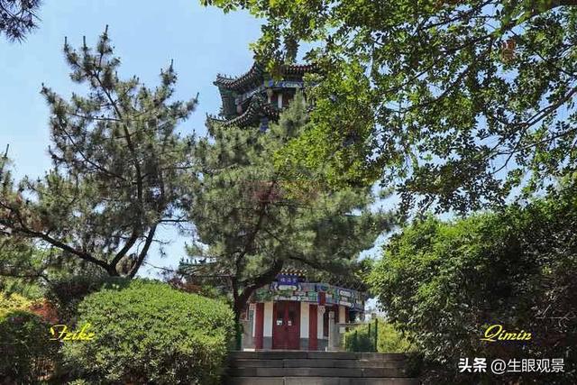 影记 | 青岛李沧文化公园掠影