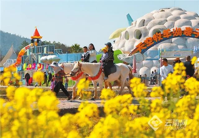 5293.14万人次！708.98亿元！2026年春节云南文旅市场迎来“开门红”