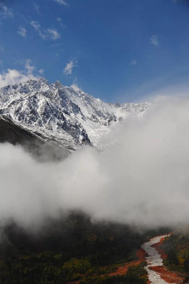 西藏绝美四季：从林芝桃花到阿里湖泊，每一眼都震撼心灵