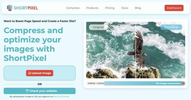 你面临这 6 个 SEO 问题（以及如何解决它们）