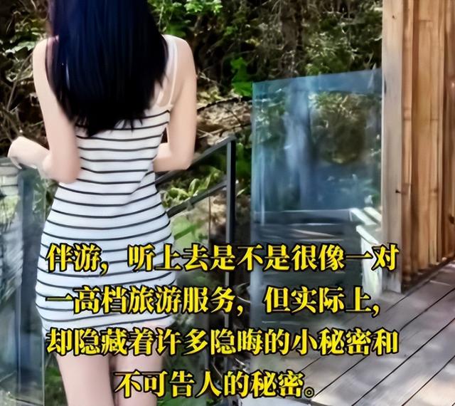 揭秘8000元过夜伴游，内幕曝光，明码标价、肮脏交易只是冰山一角