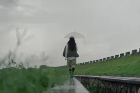 三八节：女到中年，为自己撑伞图片