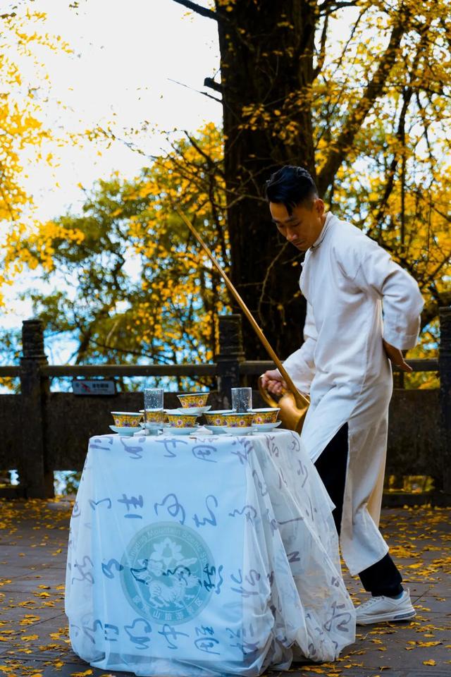 黄了！成都出发1.5h刹拢赏秋秘境，茶海风光无敌，银杏美了上千年！