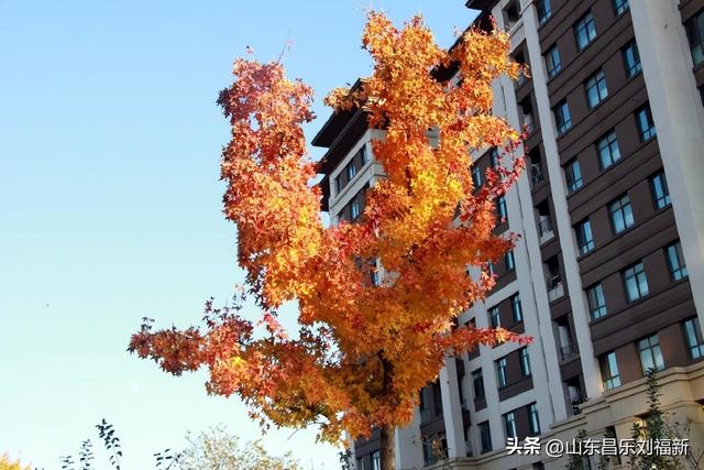 蓝天白云·径去西城拍片