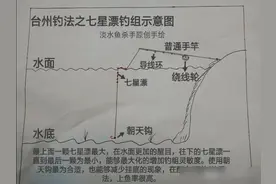它是台钓与传统钓的完美结合体，能钓深也能钓浅。详解：台州钓法图片