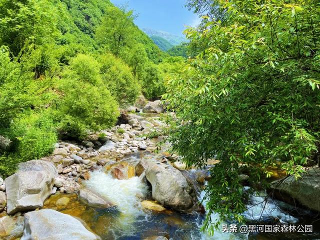 西安山美水美的清凉秘境！夏天来黑河避暑旅游太爽了！