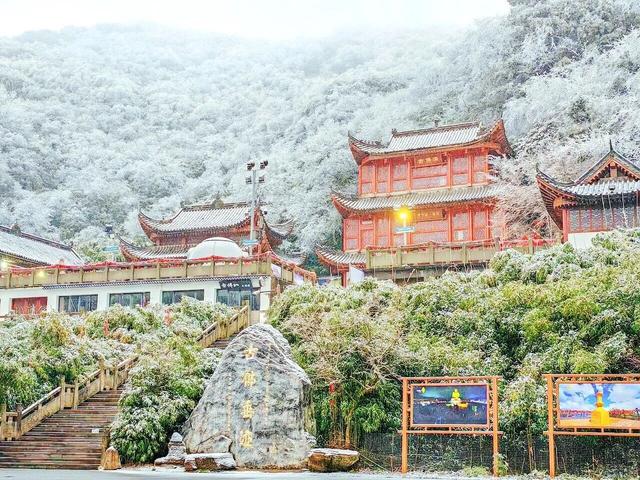 金佛山下雪❄️啦！秒变冰雪仙境