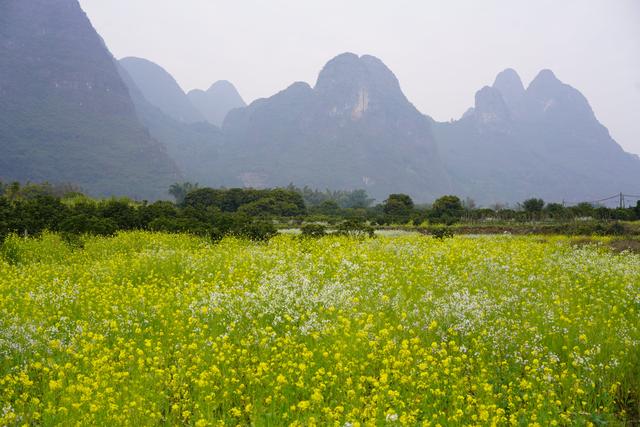 从石灰洲到杨堤 漓江徒步一路繁花