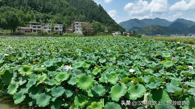 汉中镇巴元气之旅：邂逅浪漫，畅享自然
