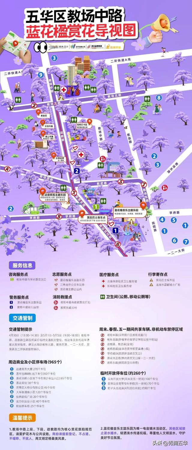 已经开始排队了！蓝花楹赏花巴士试运行