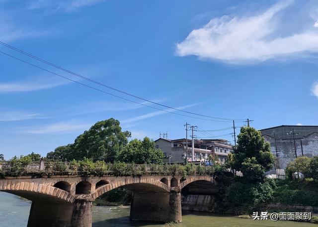 在川西最沉默的古镇，与千年榕树共饮