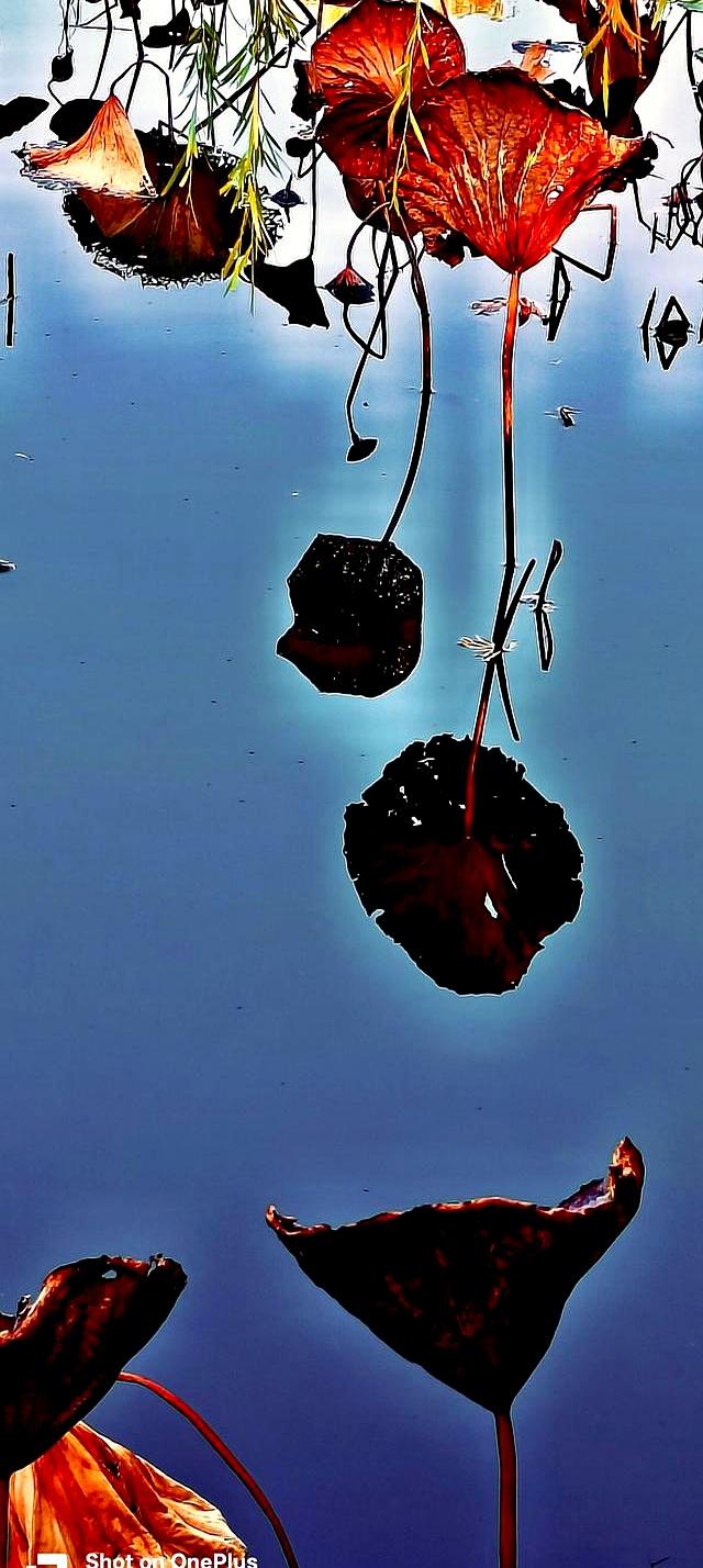 太极发劲不用硬拼！找准“腰隙”总开关，常练劲如潮涌