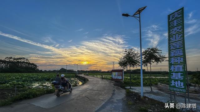 遇见美丽家乡 | 广西宾阳县黎塘镇