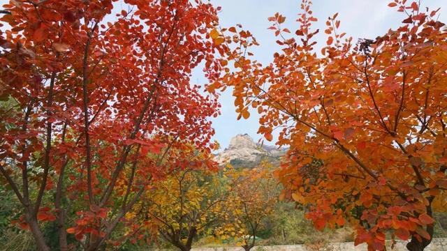 在山东这座小城，我亲手淘到了闪闪的金子！