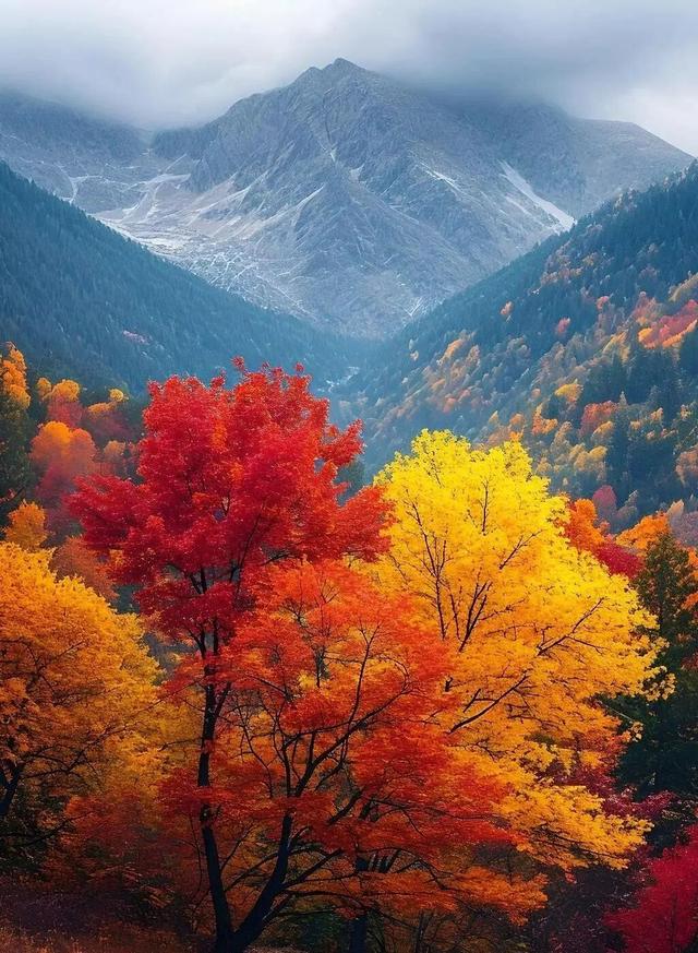 这些景色，美到极致