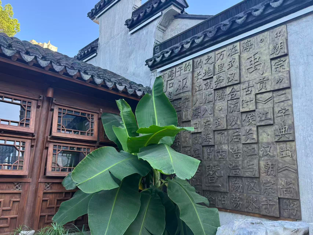 官宣！忠义街→