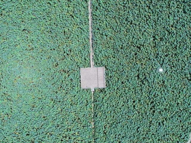 怀集的四季!带你回顾,带你深入