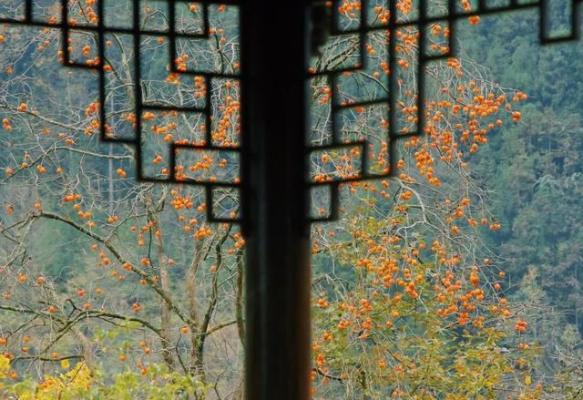 来广元月坝，解锁一场“多巴胺”初冬