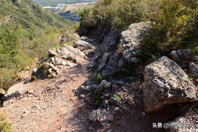 延庆应梦寺（五）：山巅极目收千嶂，林海听风涤尘心