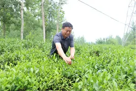 河南桐柏有个“网红村支书”图片