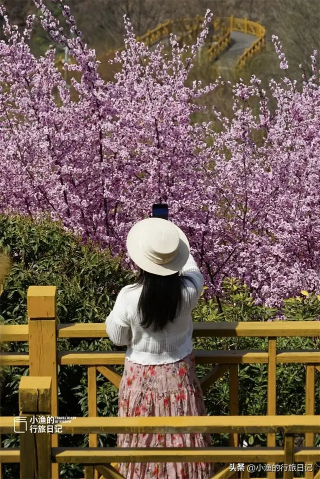 不愧是西安周边最美秦岭自驾线！眼下又美出新高度，过年去浪刚好