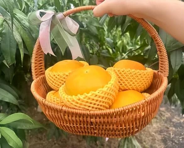 预告丨“沪派江南-复兴市集”开市啦！本周六一起来逛吃玩