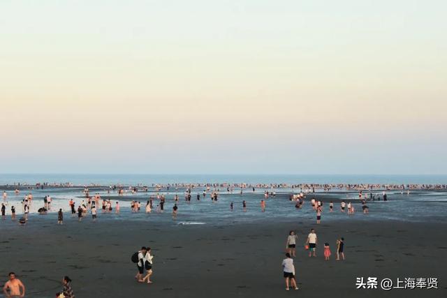 看海！挖宝！狂炫海鲜！这里的独家快乐太上头～