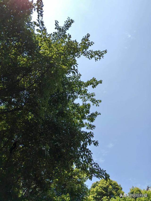 周末,带孩子到商场里的海洋世界玩一玩