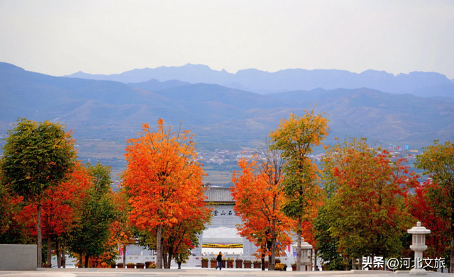 邯郸，你别太好逛了！