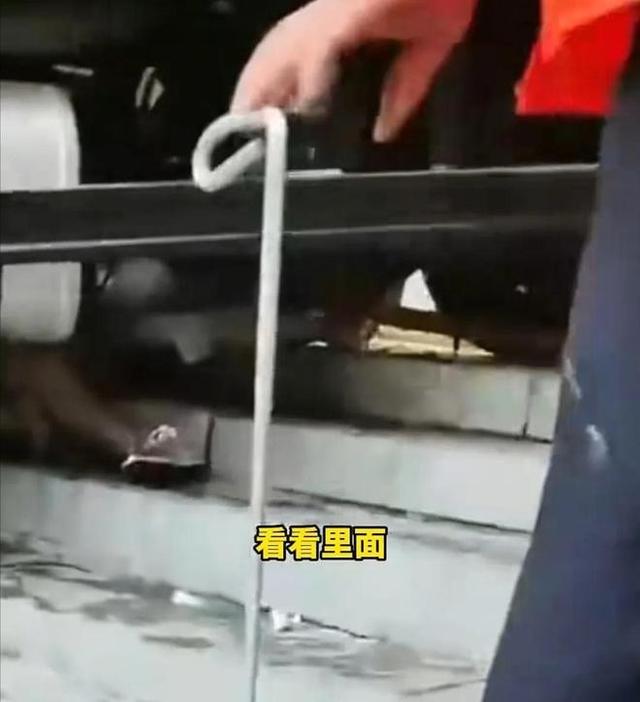 货车冲进奶茶店后续！两位女性被压死 仅30多岁，颜值很高长相漂亮