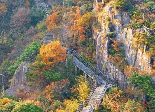 安吉云上草原:江浙沪2h直达!海拔1168米的秋日童话秘境。