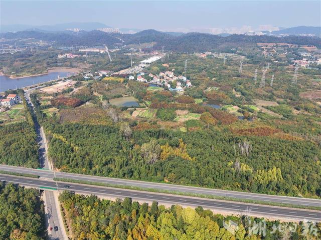 城管助力爆改“西部牛仔小镇”，江夏“边角料”变身网红打卡地