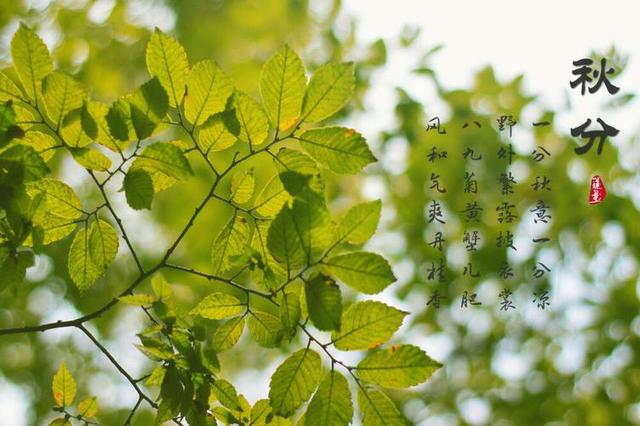 “上午秋分，大雪封门；下午秋分，单衣过冬”，今年秋分是几点？