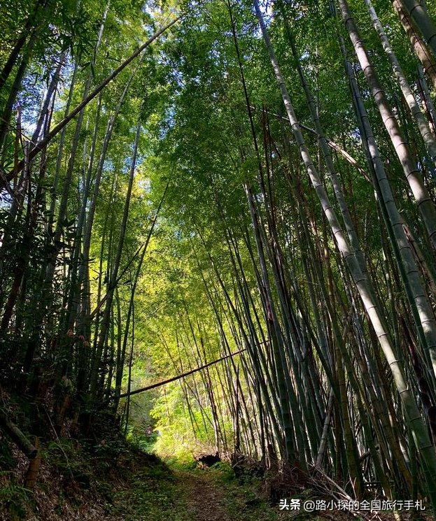 武汉出发！2 小时车程 5 个冷门自驾宝藏地，承包你的诗与远方