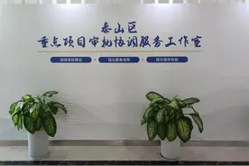 泰山区创新工作模式 助力工程建设项目审批提质增效图片