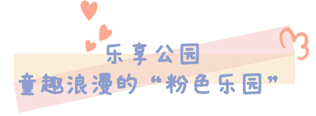 粉黛乱子草的浪漫邀约！在乳山赴一场粉色的秋日之约