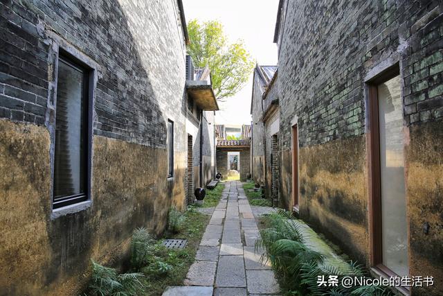 稻浪浸温汤，古村藏清欢