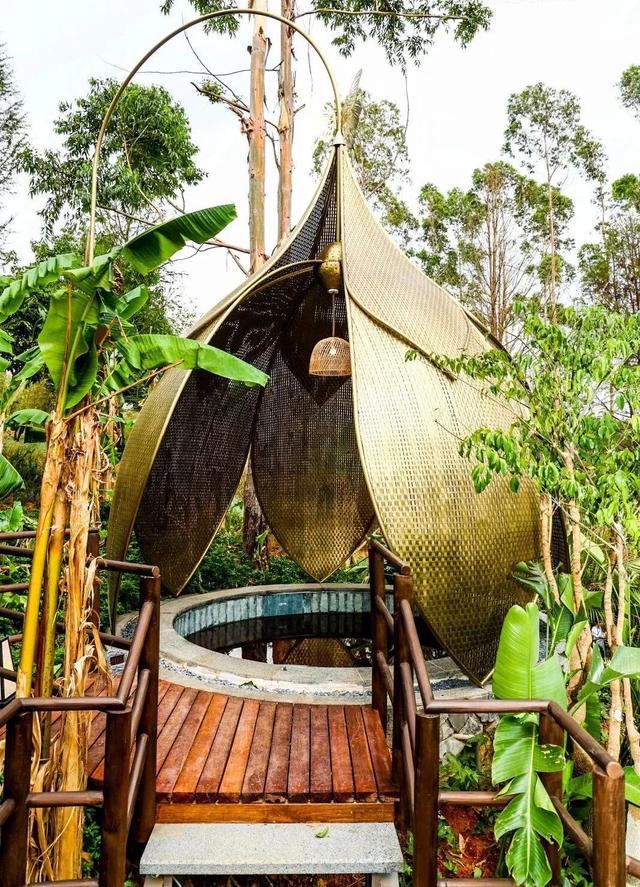 首次发布！弥勒2地2酒店上榜！