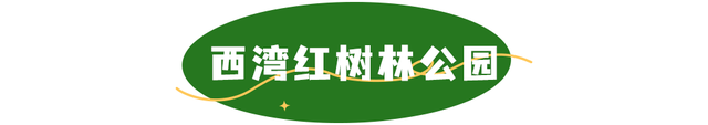 活力宝安城区指南｜山海蓝绿瞬间：山水连城，绿动宝安！