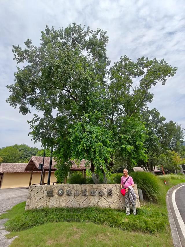 余杭安溪镇有一个瑶山遗址公园