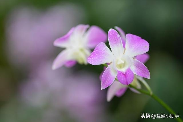 选索尼还是适马？E卡口大光圈长焦变焦镜头巅峰对决！