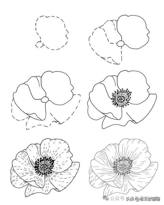 有手就能画！花卉简笔画教程