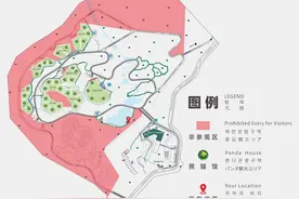“福宝”新家长啥样？图片