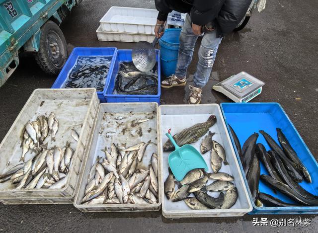 有惊无险的一天，从恩和到莫尔道嘎交通路线分享（16）