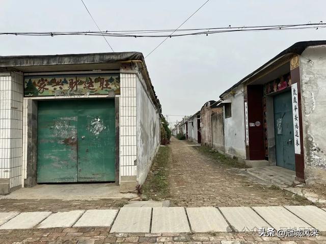 冠县乡韵·桑阿镇野场村