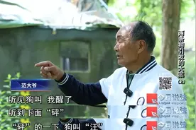 深夜两声枪响，两条狗被射杀！嫌疑人竟是“网红”图片