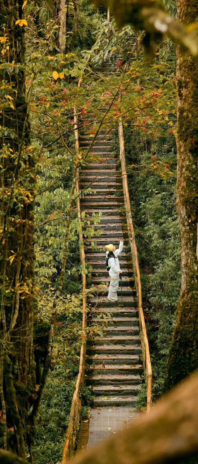 秋假第一站，就定这里！这片绝美彩林人少景美，速来赏秋！