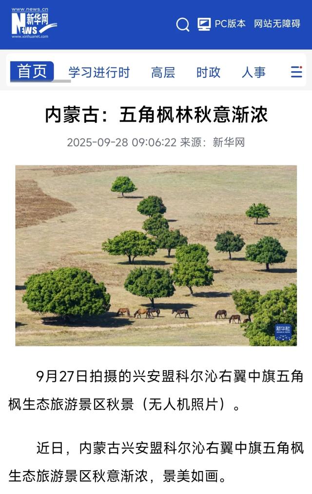 【央媒看兴安】2025兴安盟五角枫文化旅游季，捕捉最绚烂的北疆秋色