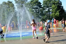 今日入伏！三伏汤喝起来，清热解暑，体内湿毒扫光光！图片