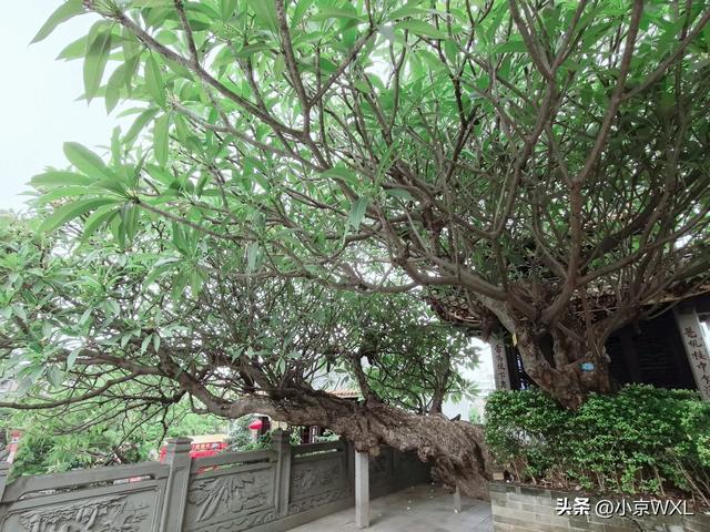 地铁十号线重游纯阳观